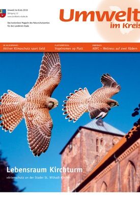 Ausgabe 2010