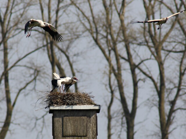 Titelbild (symbolisch)