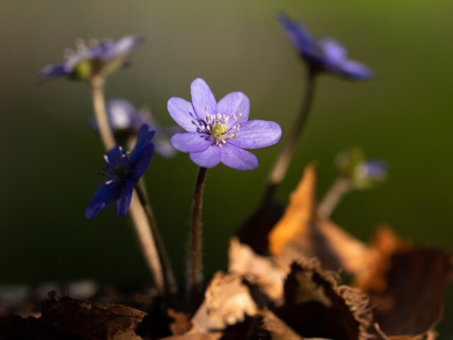 Titelbild (symbolisch)