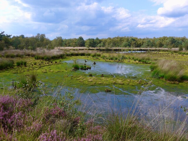 Titelbild (symbolisch)