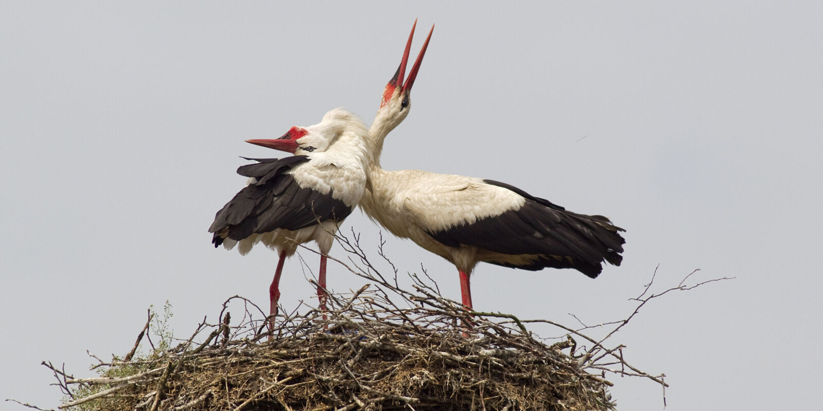 Titelbild (symbolisch)