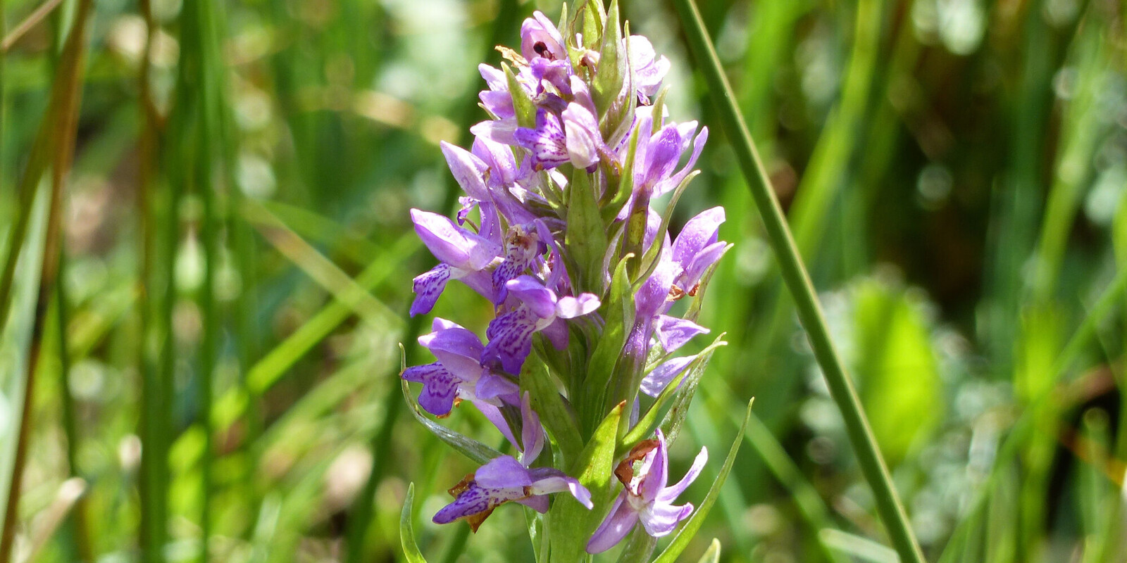 Titelbild (symbolisch)