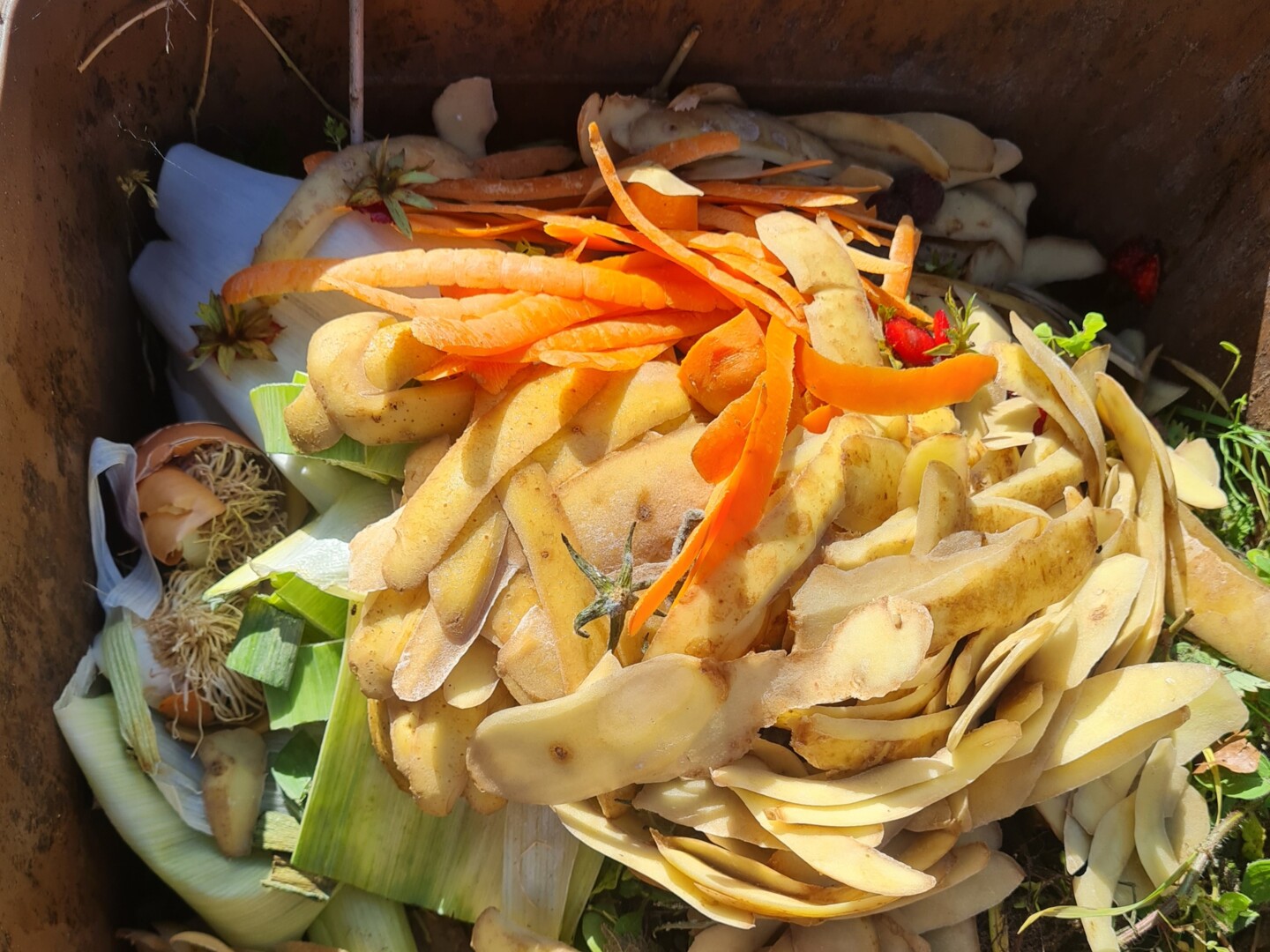 Biotonne richtig befüllt