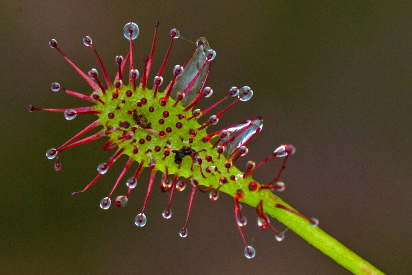 Foto: Gerd-Michael Heinze