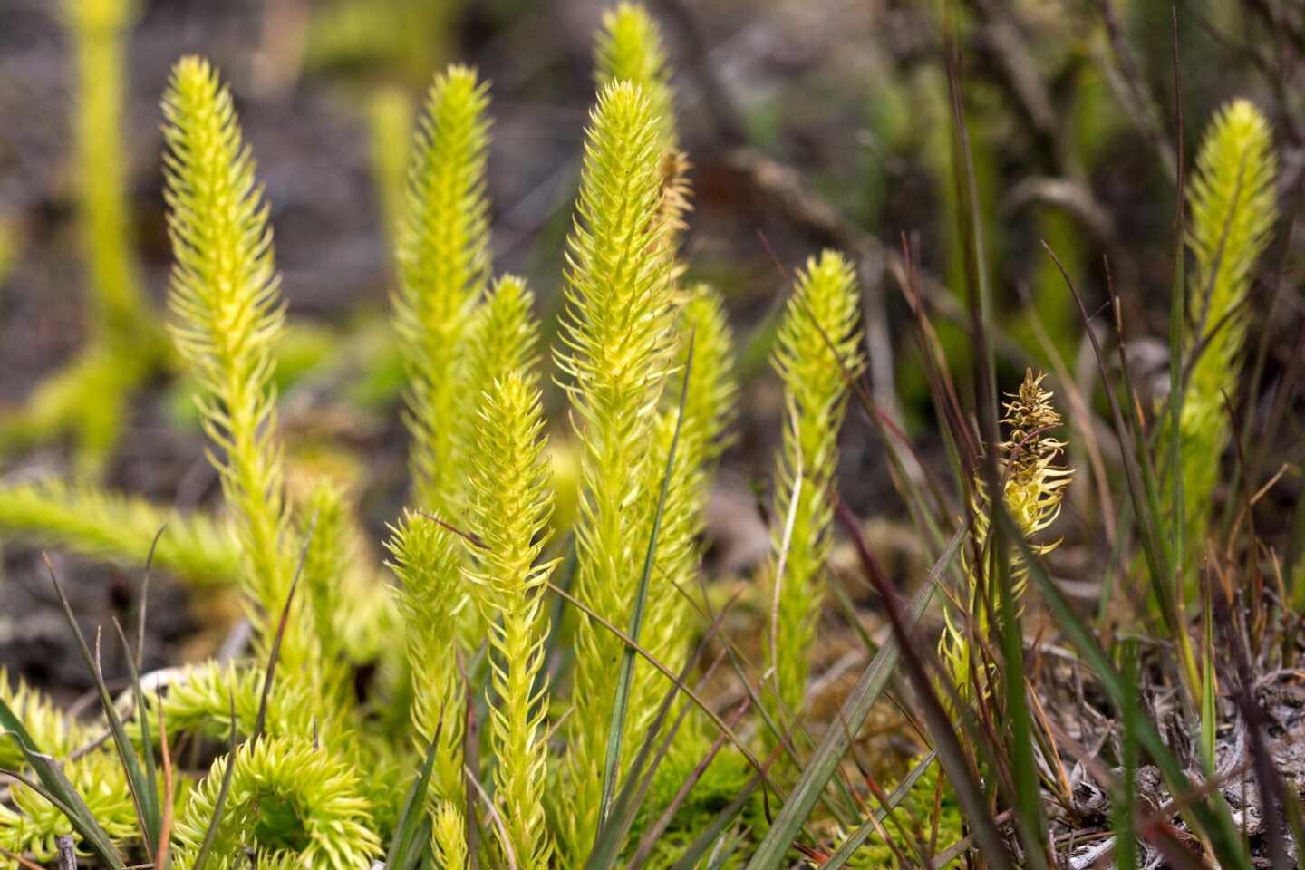 Foto: Gerd-Michael Heinze