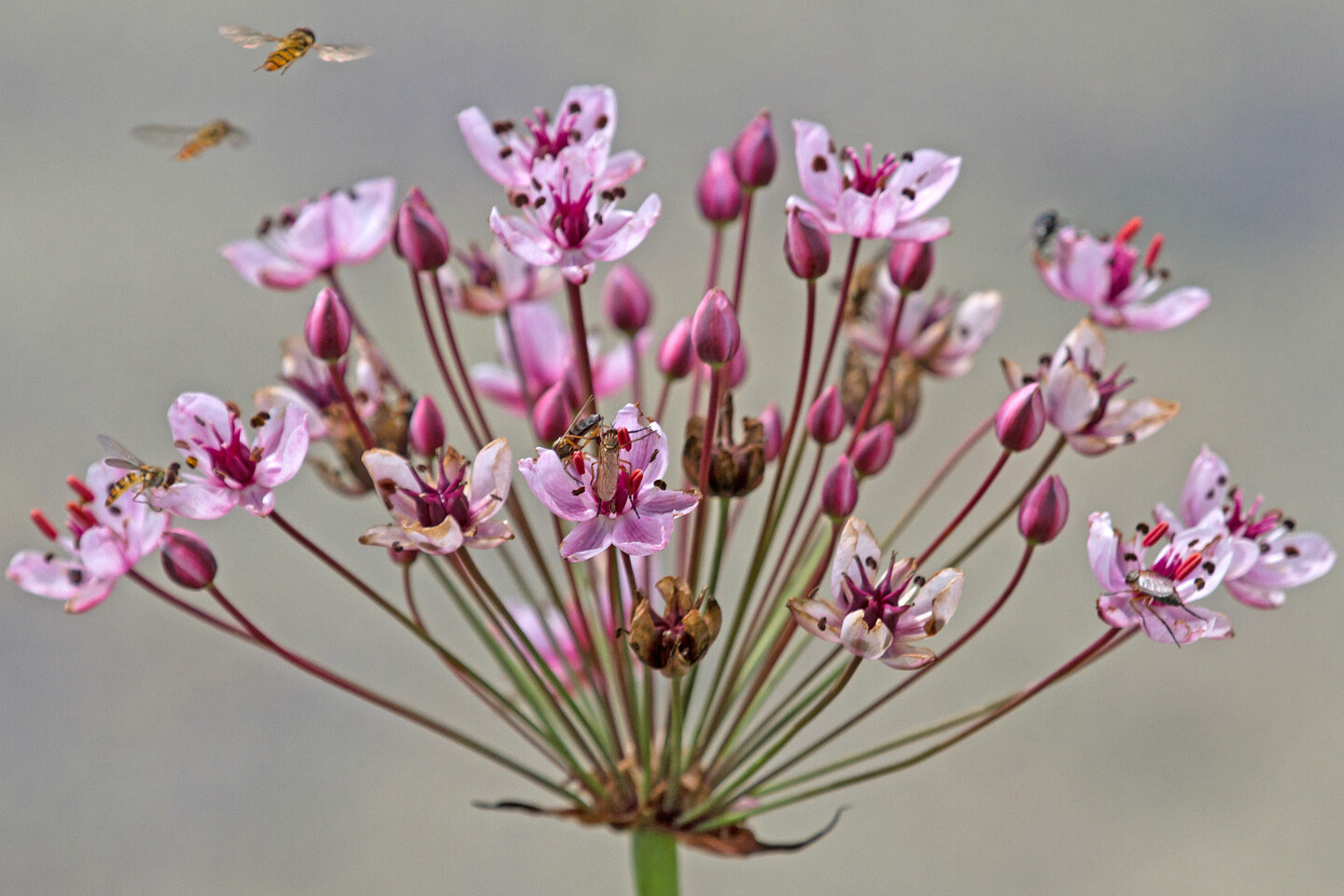 Foto: Gerd-Michael Heinze