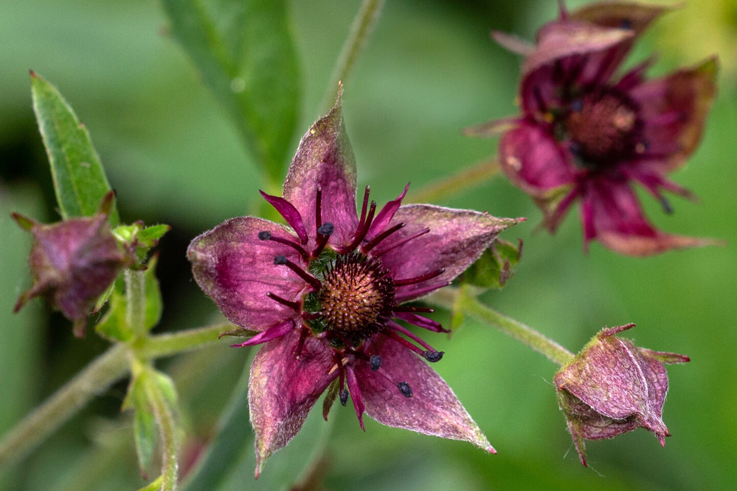 Foto: Gerd-Michael Heinze