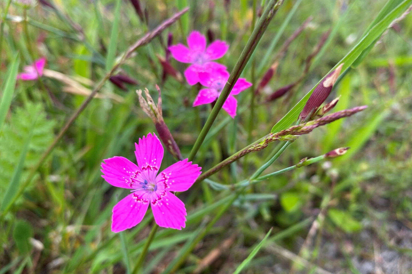 Foto: Janette Hagedoorn-Sch&uuml;ch