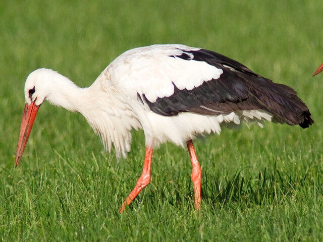 Titelbild (symbolisch)