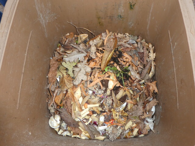 Titelbild (symbolisch)