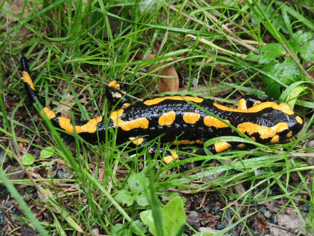 Titelbild (symbolisch)