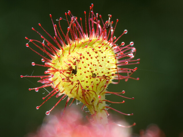 Titelbild (symbolisch)