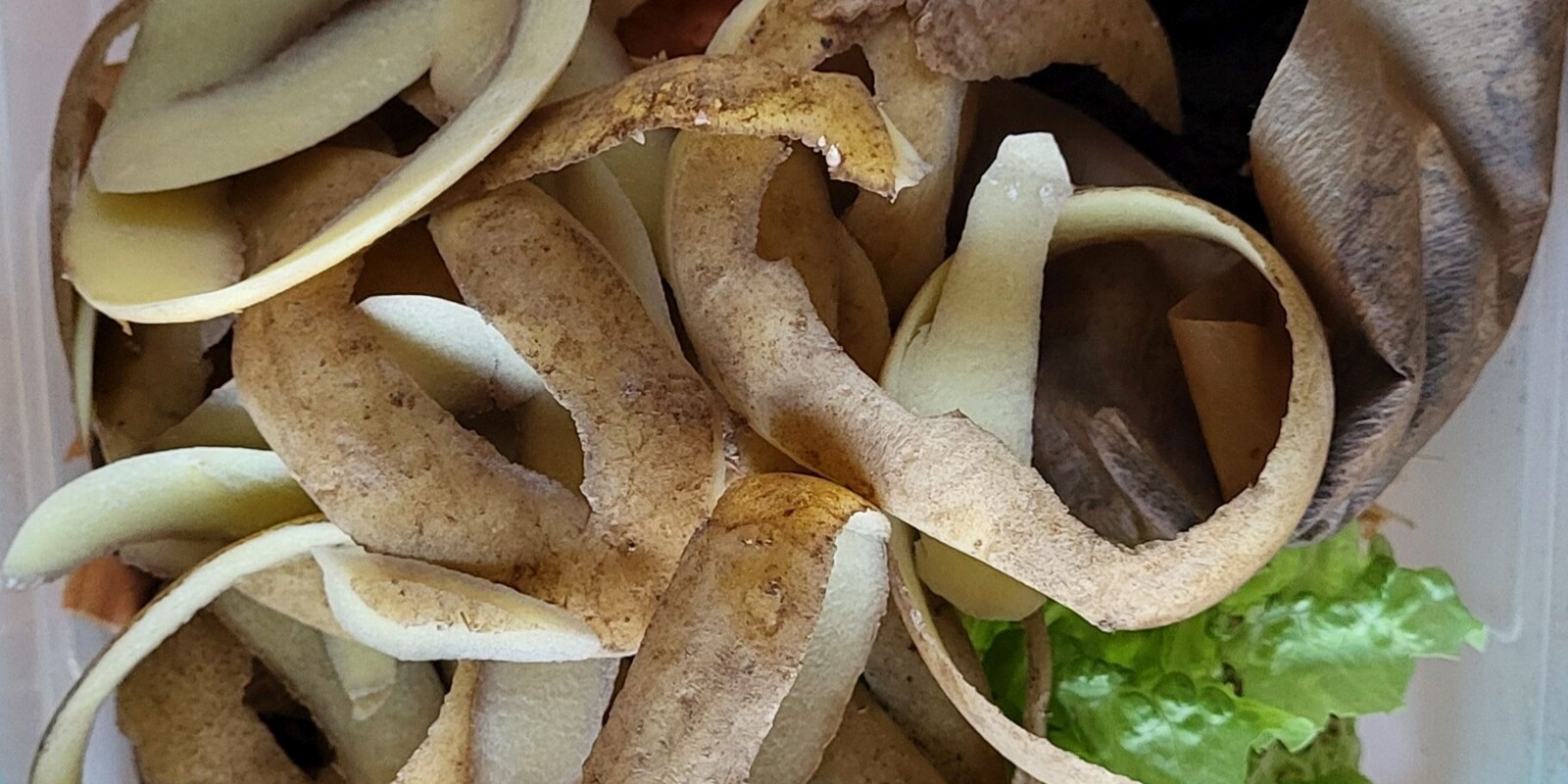 Titelbild (symbolisch)