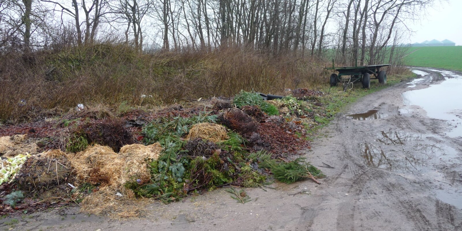 Titelbild (symbolisch)