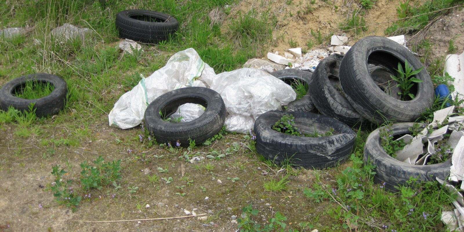 Titelbild (symbolisch)