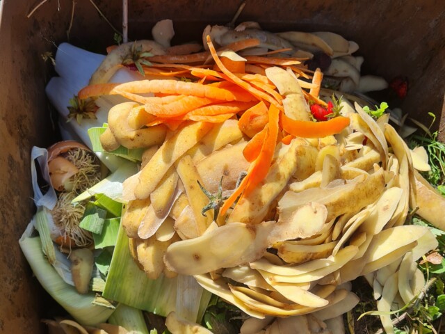 Titelbild (symbolisch)