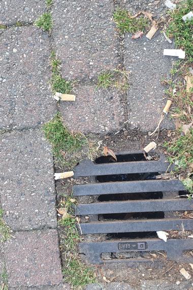 Auswirkungen von Wildmüll (Symbolbild)