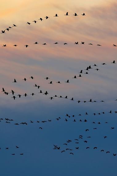 Beispielseite mit vielen ContentBlocks (Symbolbild)