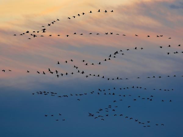 Beispielseite mit vielen ContentBlocks (Symbolbild)