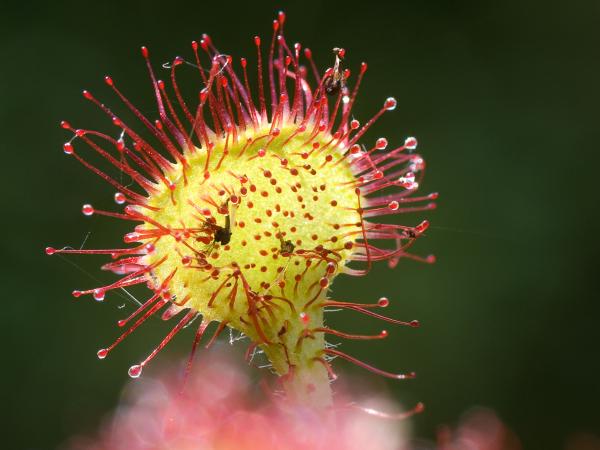 Aktueller Hinweis (Symbolbild)