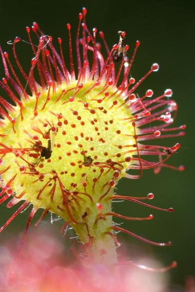 Aktueller Hinweis (Symbolbild)