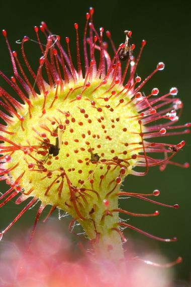 Ein Artikel mit Unterseiten (Symbolbild)