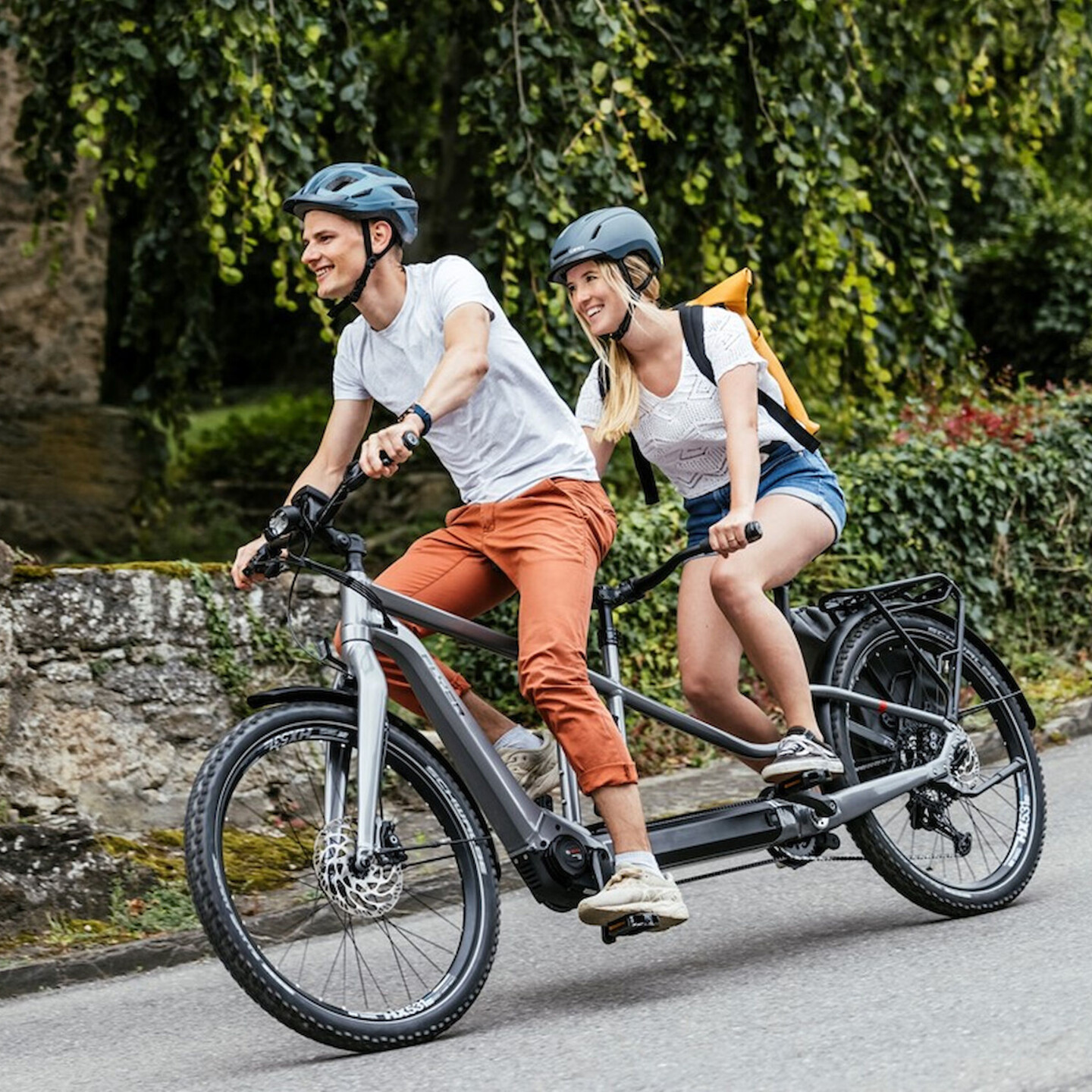 Praesent congue erat at