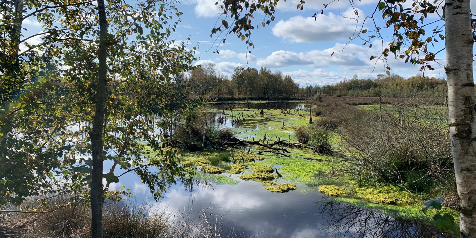 Titelbild (symbolisch)