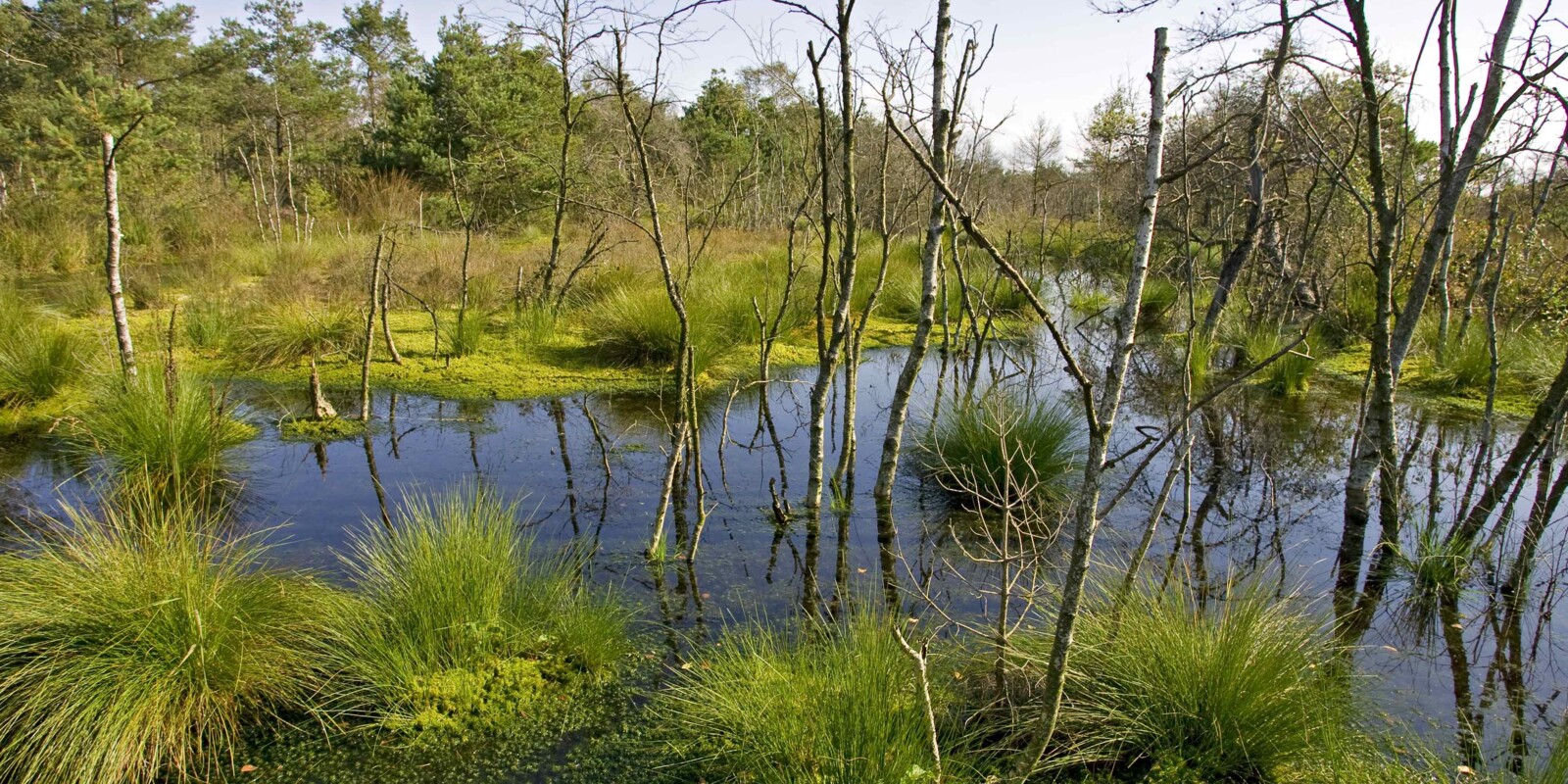 Titelbild (symbolisch)