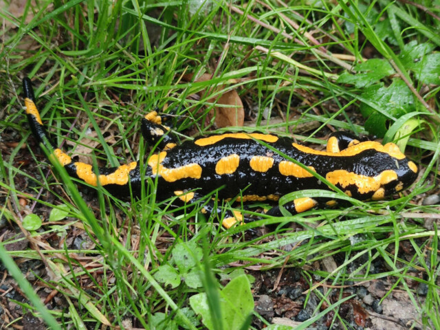 Titelbild (symbolisch)