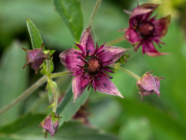 Titelbild (symbolisch)