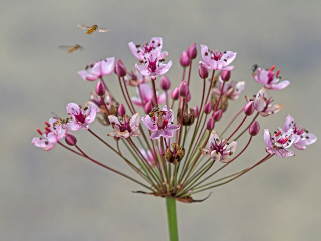 Titelbild (symbolisch)