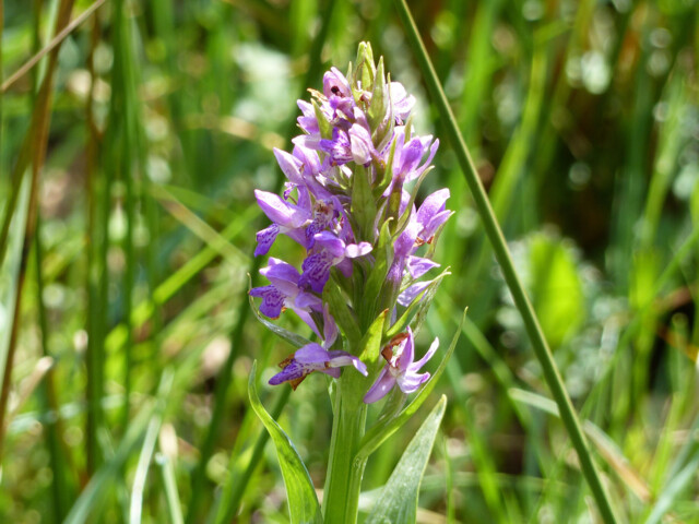 Titelbild (symbolisch)