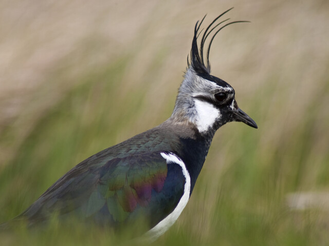 Titelbild (symbolisch)