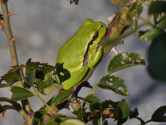 Titelbild (symbolisch)