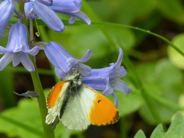 Titelbild (symbolisch)