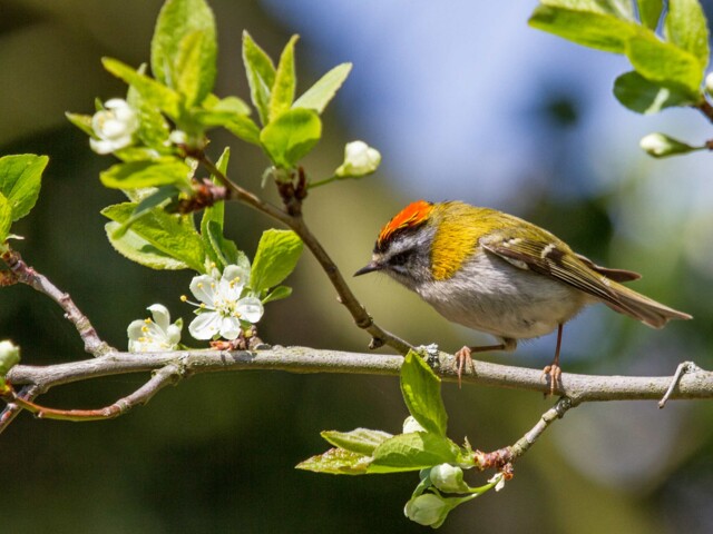 Titelbild (symbolisch)