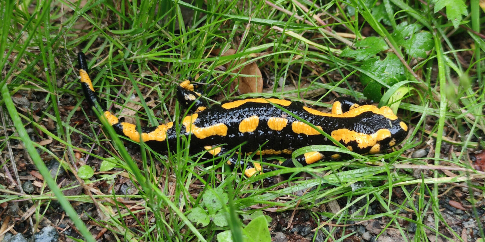 Titelbild (symbolisch)