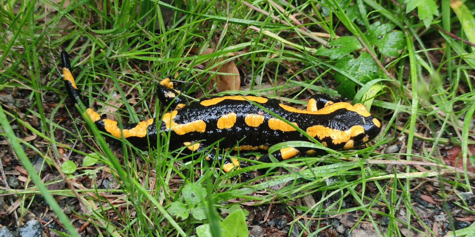 Titelbild (symbolisch)