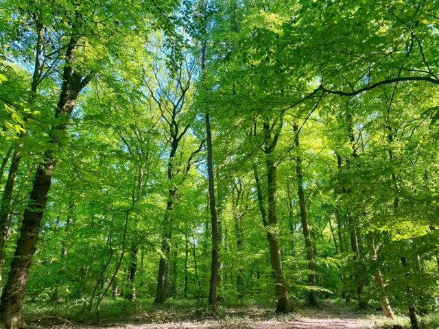 Titelbild (symbolisch)