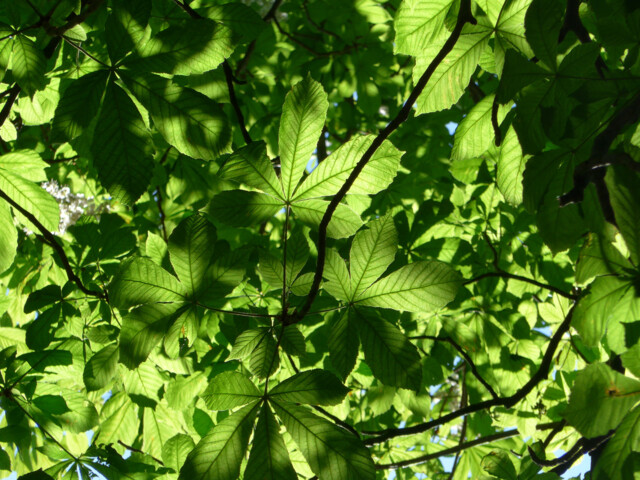 Titelbild (symbolisch)