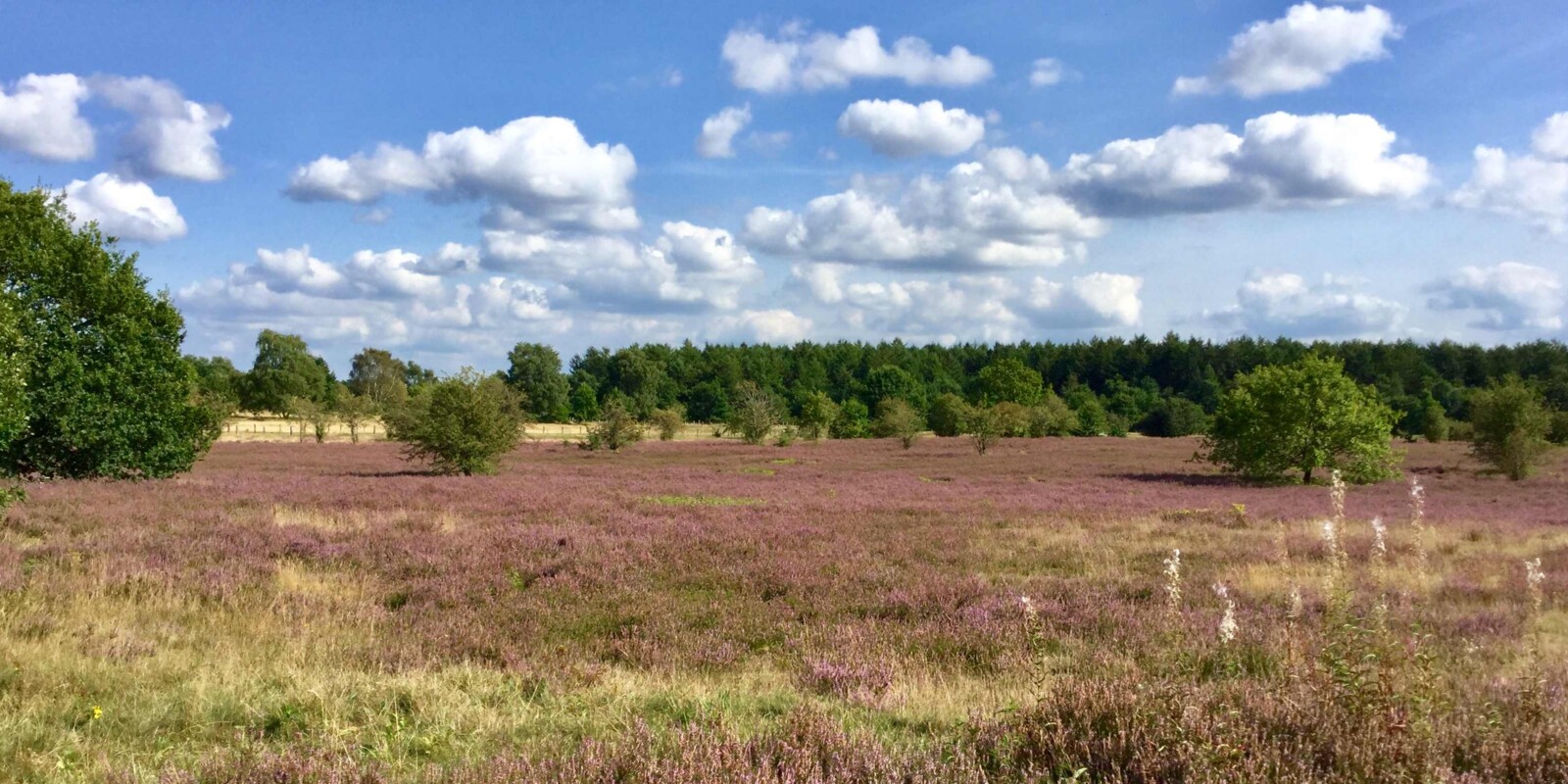 Titelbild (symbolisch)