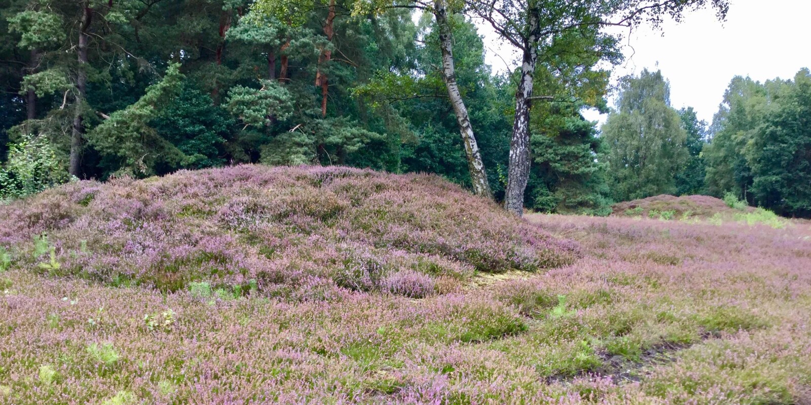 Titelbild (symbolisch)