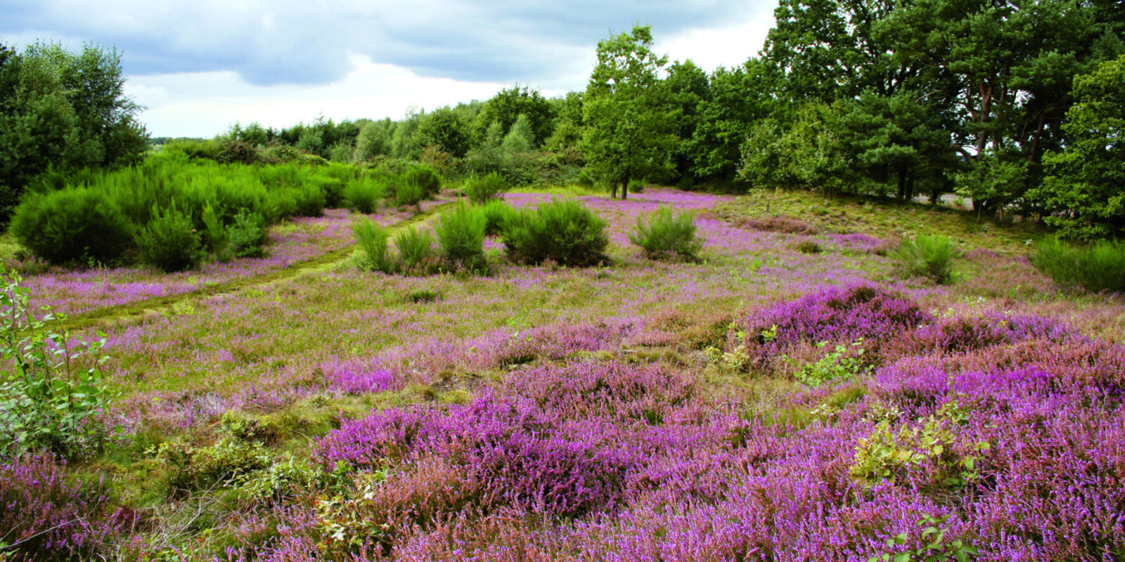 Titelbild (symbolisch)